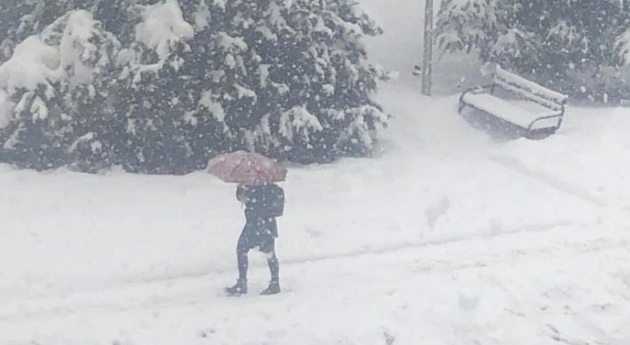Vreme de iarnă autentică: În județul Maramureș, nordul municipiului Baia Mare, în prezent, are stratul de zăpadă cel mai mare, de 41 cm! Iată care e cartierul!