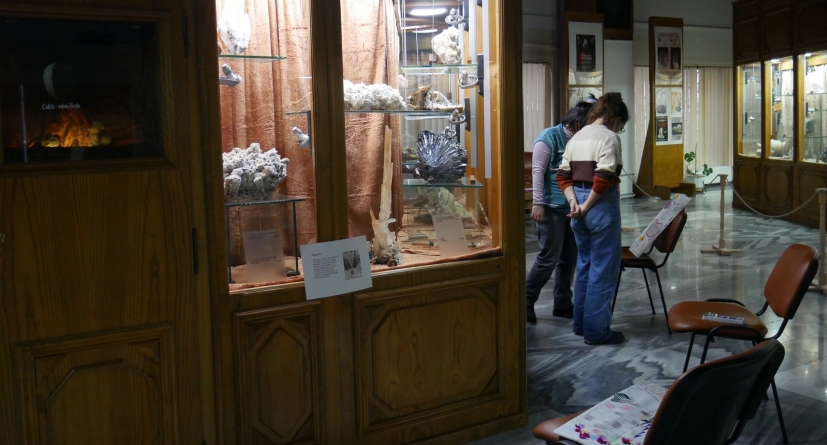„Mineral co-painting” la Muzeul de Mineralogie Baia Mare