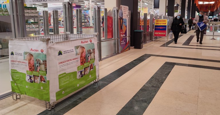 Fii tu acel ajutor: Fight For Animals Baia Mare care apără drepturile prietenilor noștri are acum stand în hypermarket! Oferă și tu bani, jucării, așternuturi!