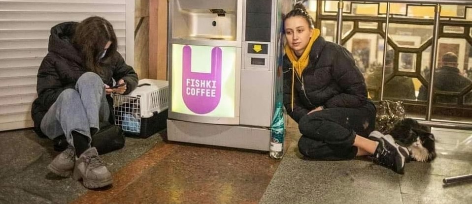 Asociația Fight For Animals: În județul Maramureș cunoscuta asociație care apără drepturile prietenilor noștri arată că ajută refugiații care dețin și animale!