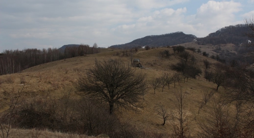Muzeul Judeţean de Istorie şi Arheologie, noi cercetări arheologice de suprafață în sudul județului Maramureș