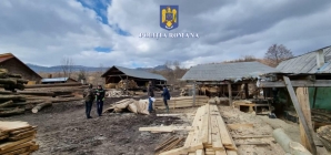 Cu ochii pe lemne: Polițiștii din Maramureș au efectuat, și în 2022, acțiuni speciale în domeniul silvic! Vezi rezultatele activităților din județ!
