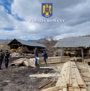 Un bilanț la noi: În județul Maramureș o acțiune a polițiștilor în care verificată aria silvică fiind s-au aplicat sancțiuni! Confiscați 97,40 mc din 9 locuri!