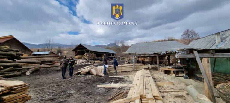 Un bilanț la noi: În județul Maramureș o acțiune a polițiștilor în care verificată aria silvică fiind s-au aplicat sancțiuni! Confiscați 97,40 mc din 9 locuri!