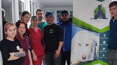 Ar cam fi record: Avem în Maramureș 97 prieteni necuvântători sterilizați în campania Asociației Fight For Animals doar cu un medic! 257 în 3 zile de maraton!
