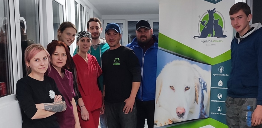Ar cam fi record: Avem în Maramureș 97 prieteni necuvântători sterilizați în campania Asociației Fight For Animals doar cu un medic! 257 în 3 zile de maraton!