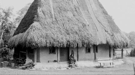 Amintiri din alte vremuri grele: „În ’47 o fo’ foamete mare. N-ai avut de unde cumpăra. În timpul războiului o fo’ tare rău”