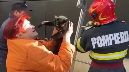 Altfel de misiune salvatoare: În județul Maramureș în municipiul Sighetu Marmației o pisicuță ajutată de pompieri să coboare de pe o clădire. Imagini frumoase!