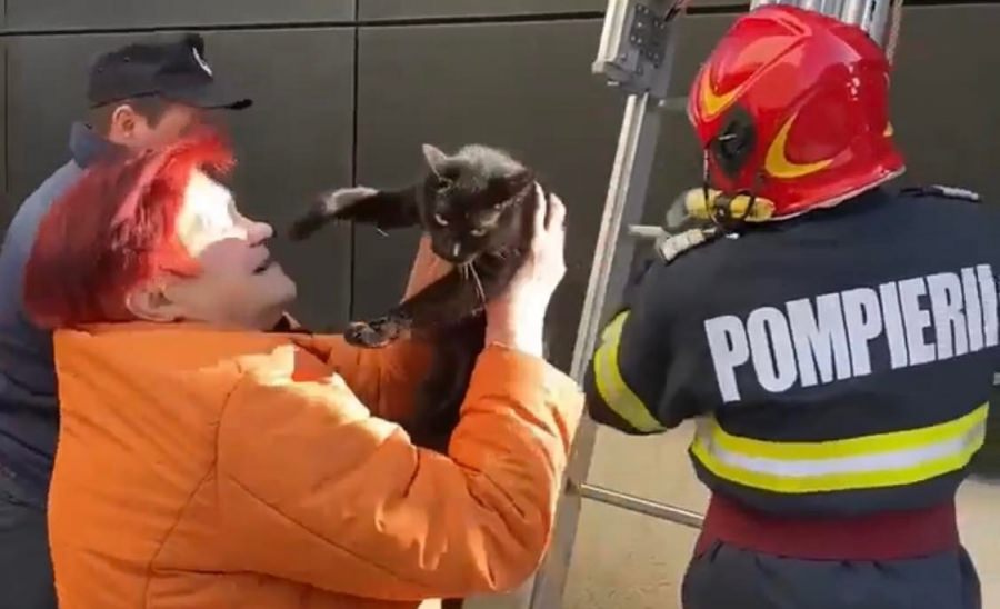 Altfel de misiune salvatoare: În județul Maramureș în municipiul Sighetu Marmației o pisicuță ajutată de pompieri să coboare de pe o clădire. Imagini frumoase!