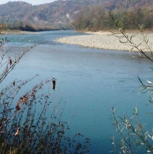 Cercetări ale polițiștilor în cazul unui bărbat găsit mort pe malul Tisei