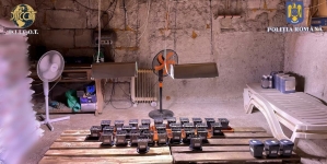 Încă o mare victorie: În județul Maramureș, un arsenal întreg, inclusiv o cultură indoor, de cannabis, descoperit de oamenii legii, astfel că am avut arestări!