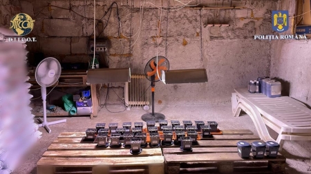 Încă o mare victorie: În județul Maramureș, un arsenal întreg, inclusiv o cultură indoor, de cannabis, descoperit de oamenii legii, astfel că am avut arestări!