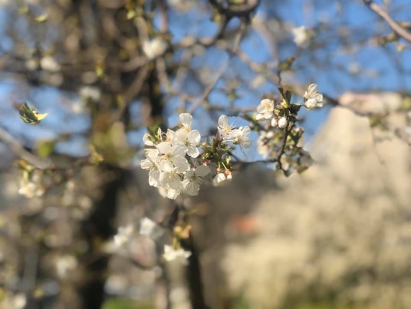 Analiza meteo 4 săptămâni: Acum în Maramureș anunțul specialiștilor din țara noastră arată că va fi vreme caldă dar cu ploi! Iată care-i estimarea până în mai!