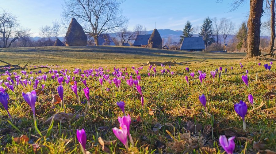 Meteo Maramureș: Vreme normală în regiunea noastră în viitorul interval! Va fi caracteristică primăverii cu variații bruște! Vezi estimările pe două săptămâni!