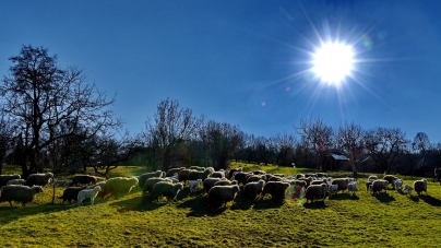 Vremea exactă în Maramureș, duminică, 5 iunie