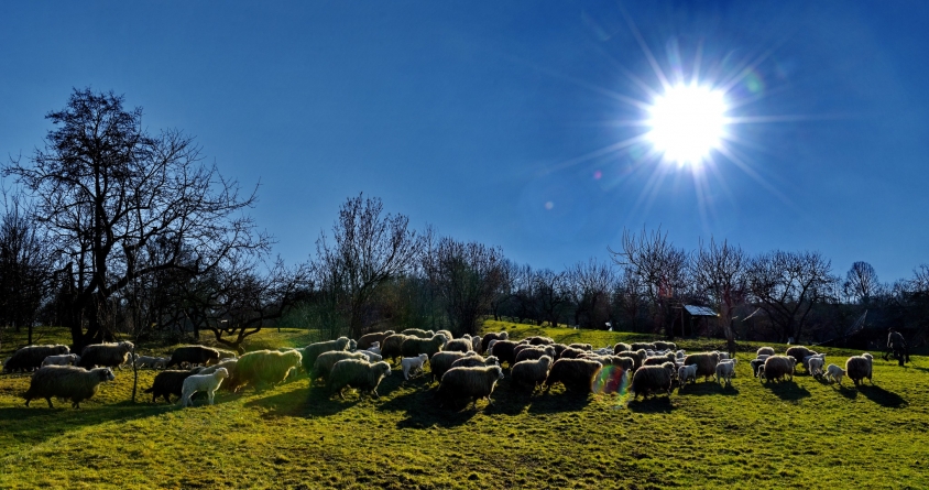 Vremea exactă în Maramureș, duminică, 5 iunie