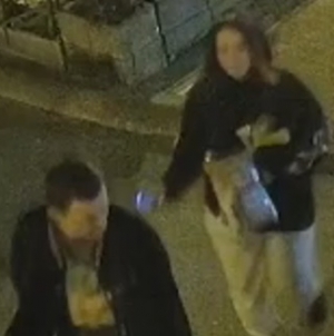 Noi imagini mai clare: În Baia Mare doi tineri fără scaune la cap și-au achiziționat două de la o terasă din municipiu! Mai furaseră înainte! Vezi videoclipul!