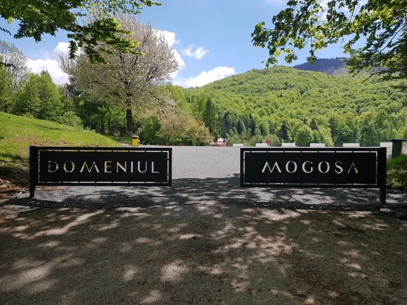 Vești bune în administrație: În orașul maramureșean Baia-Sprie primăvară pare că are semne bune! Lucrări și la Mogoșa, sală nouă de sport în Tăuți aparținător!