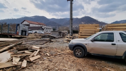 Scutul pădurii: Amenzi uriașe și material lemnos confiscat în urma a 16 controale în Maramureș
