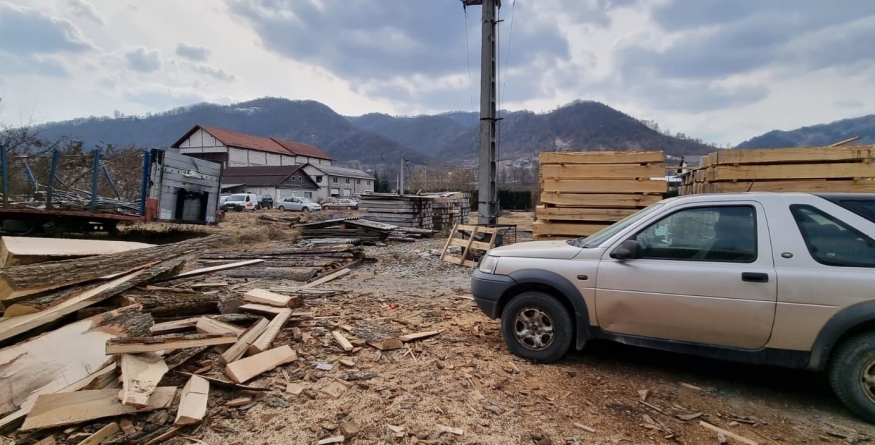 Scutul pădurii: Amenzi uriașe și material lemnos confiscat în urma a 16 controale în Maramureș
