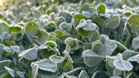 Anunț făcut de specialiști: Și în Maramureș informare meteorologică de vreme răcoroasă valabilă aproape până la mijlocul acestei săptămâni! Când se încălzește!