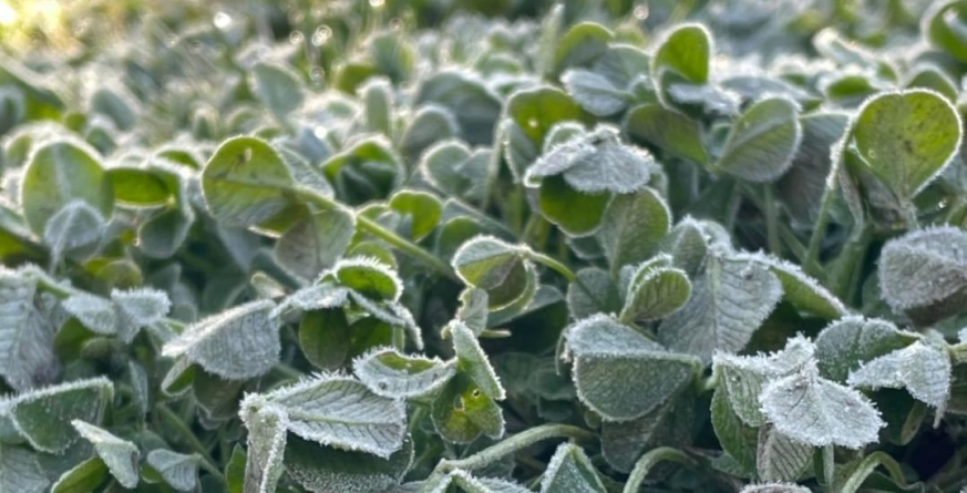 Anunț făcut de specialiști: Și în Maramureș informare meteorologică de vreme răcoroasă valabilă aproape până la mijlocul acestei săptămâni! Când se încălzește!