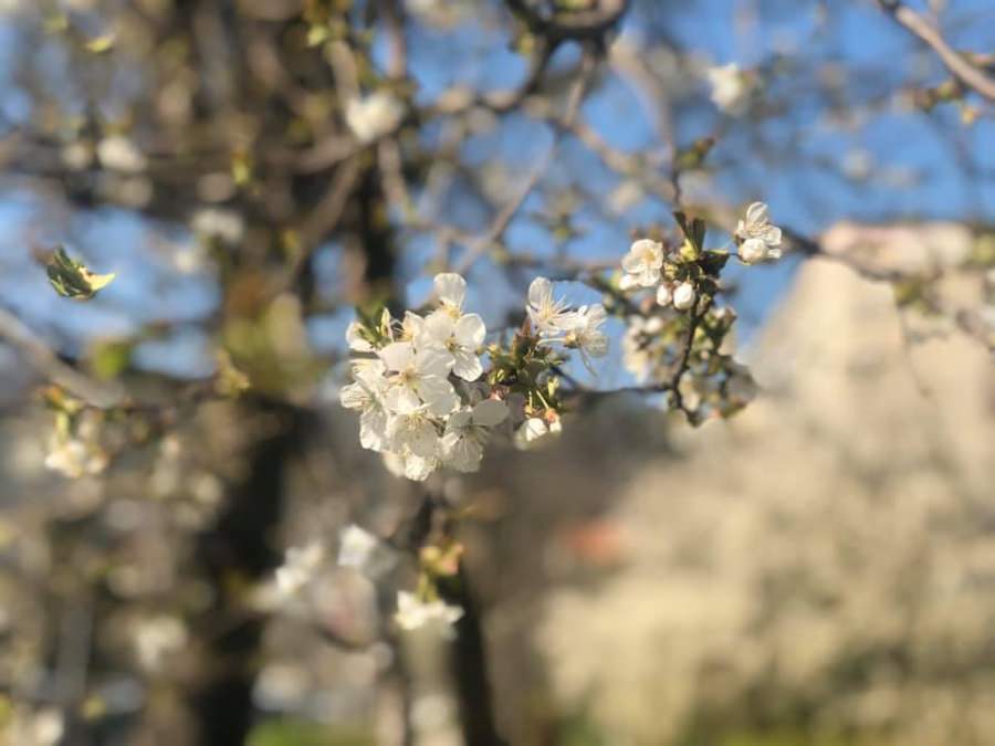 Vremea exactă în Maramureș, miercuri, 13 aprilie