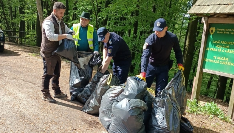 „Curățăm România”: Maramureșul s-a alăturat campaniei naționale de igienizare a zonelor în care deșeurile sunt aruncate necorespunzător