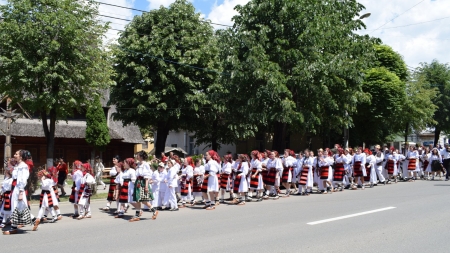 În Vișeu de Sus va avea loc Festivalul Național „Armonii de primăvară”