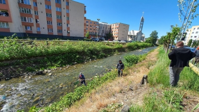 Inițiativă lăudabilă în Baia-Sprie: În orașul maramureșean apele montane începând de acum sunt populate cu păstrăv. Detalii despre această acțiune!