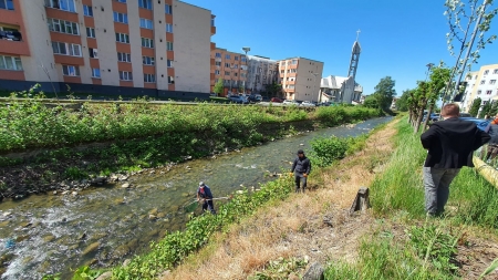 Inițiativă lăudabilă în Baia-Sprie: În orașul maramureșean apele montane începând de acum sunt populate cu păstrăv. Detalii despre această acțiune!