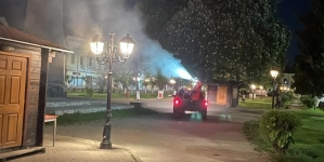 Un fapt foarte important: În municipiile maramureșene este folositoare clar dezinsecția pentru confortul locuitorilor! În Sighetu Marmației a început acțiunea!