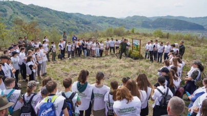 Campanie benefică pentru mediu: În județul Maramureș în acțiunile de împădurire s-au plantat puieți în toate regiunile. Total 50000 în o primăvară!