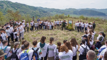 Campanie benefică pentru mediu: În județul Maramureș în acțiunile de împădurire s-au plantat puieți în toate regiunile. Total 50000 în o primăvară!