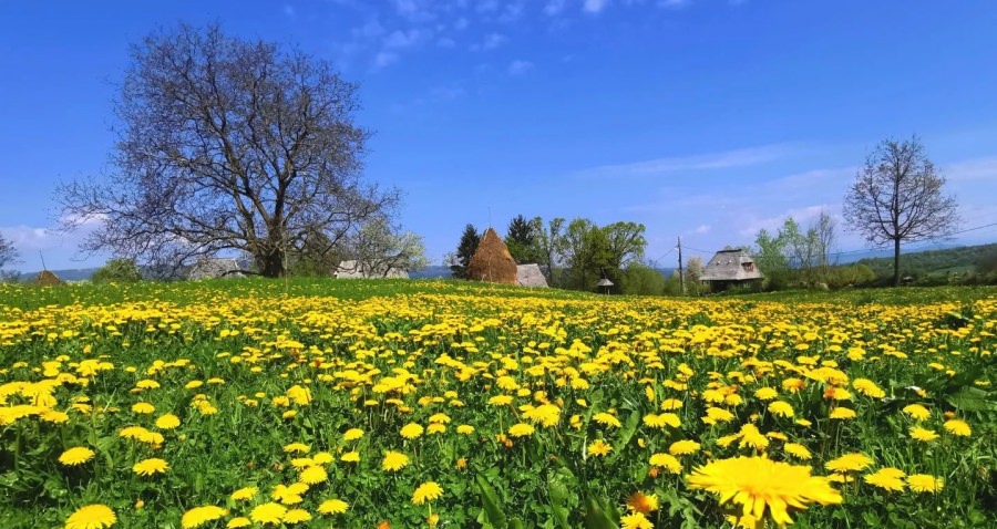 Analiza meteo 4 săptămâni: Și în Maramureș anunțul specialiștilor din țara noastră arată că va fi vreme caldă dar și ploi! Iată care-s calculele pe luna toată!