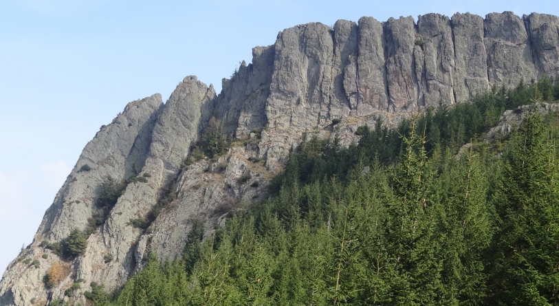 De Ziua Mondială a Mediului: Sunteți invitați la o drumeție în Aria Naturală Protejată Creasta Cocoșului