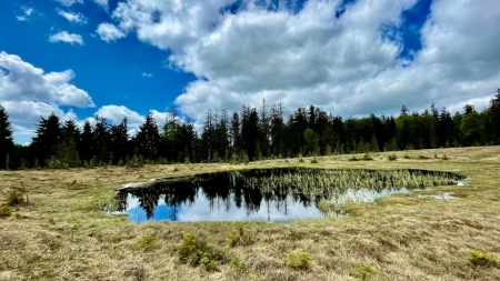 Primii pași s-au marcat: Bucată a ariei naturale maramureșene care va fi centrul atenției turiștilor, la nord de Baia Mare, și mai ușor de vizitat!