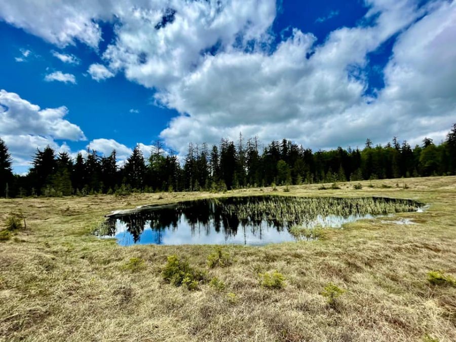 Primii pași s-au marcat: Bucată a ariei naturale maramureșene care va fi centrul atenției turiștilor, la nord de Baia Mare, și mai ușor de vizitat!