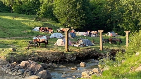 Mirare mare la Cavnic: Lângă orașul maramureșean există cetățeni de etnie romă care sunt fără documente legale dar toate autoritățile închid ochii!