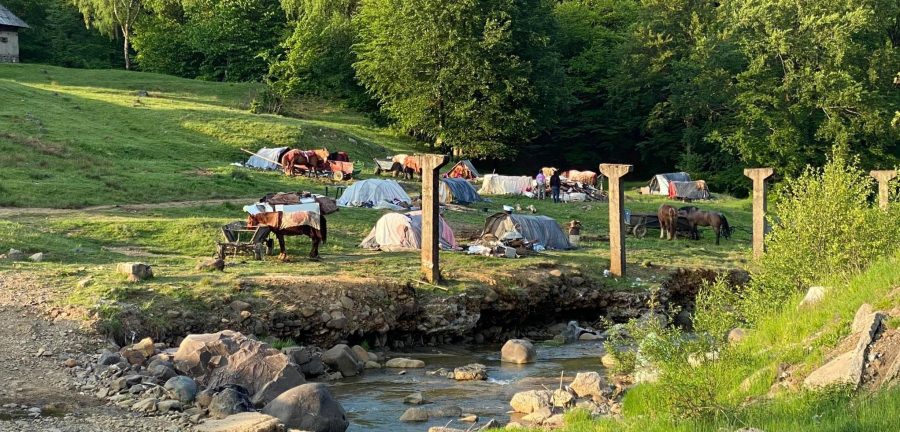 Mirare mare la Cavnic: Lângă orașul maramureșean există cetățeni de etnie romă care sunt fără documente legale dar toate autoritățile închid ochii!