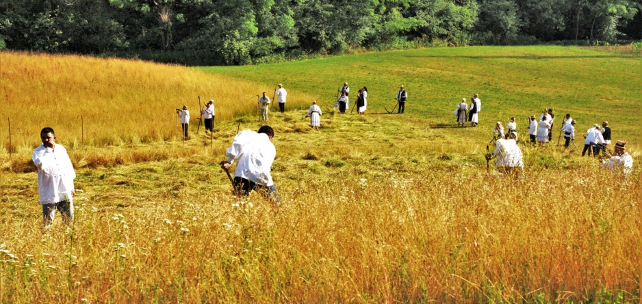 Mișcare, socializare și voie bună: A fost clacă de coasă între Ocoliș și Groși