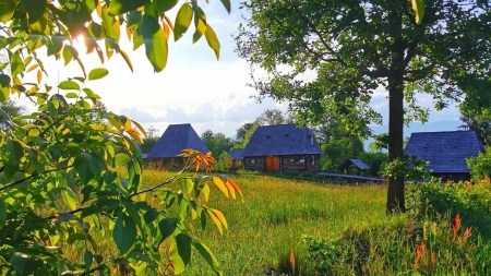 Analiza meteo 4 săptămâni: Și în Maramureș vestea specialiștilor din țara noastră arată că va fi vreme caldă cu ceva ploi! Iată care-s calculele pe luna toată!