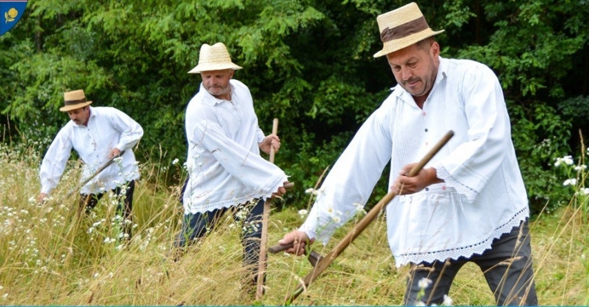 Socializare și voie bună: Sunteți invitați la “Clacă de coasă pe Valea Mare”