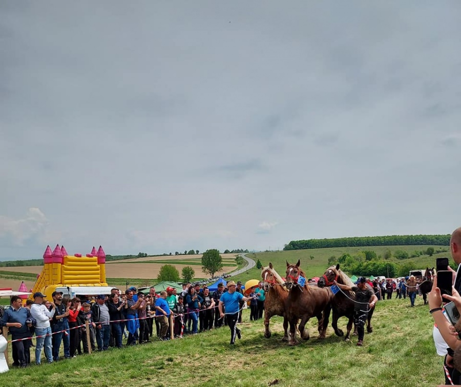 Festival Ecvestru în Suciu de Sus; Iubitorii de cai sunt așteptați la eveniment