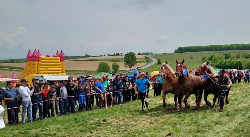 Festival Ecvestru în Suciu de Sus; Iubitorii de cai sunt așteptați la eveniment