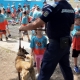 Vacanță în siguranță: Ce sfaturi au primit de la jandarmi copiii aflați în tabere în județ