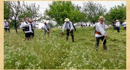 „Hai la coasă cu codrenii”: La final de săptămână va avea loc un concurs de cosit în Codru Butesii
