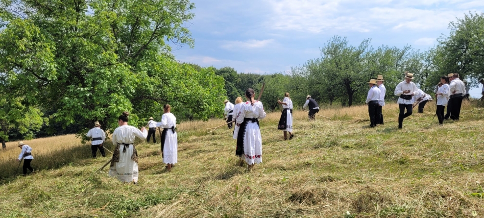 Cine sunt câștigătorii concursului de coasă de la Codru Butesii (FOTO)