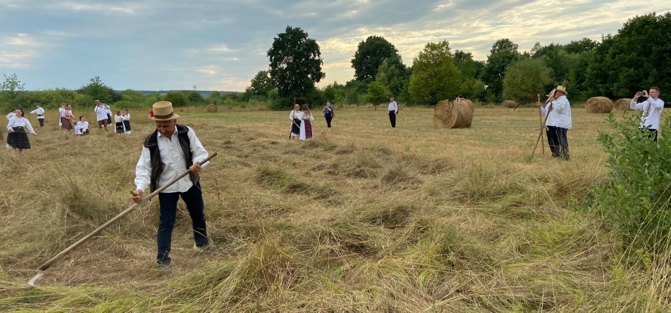 A fost clacă la coasă în Săcălășeni (FOTO)