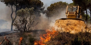 Valul de caniculă sufocă Europa şi incendiile „post-apocaliptice” pârjolesc mii de hectare. ”Nu am mai văzut asta până acum”